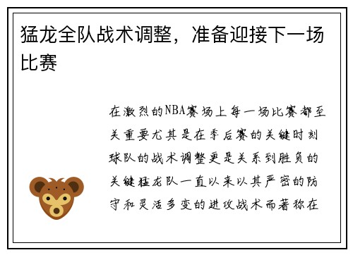 猛龙全队战术调整，准备迎接下一场比赛